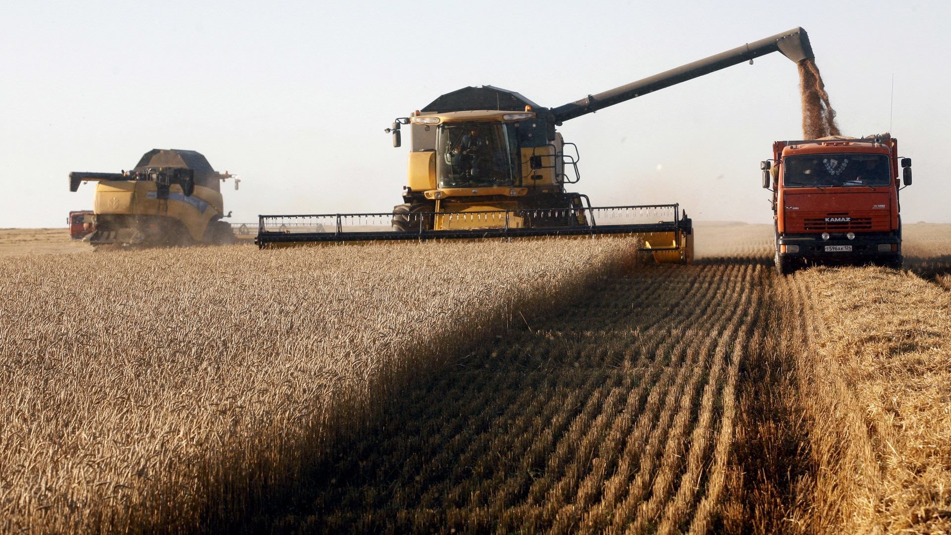 Click to enlarge russia wheat