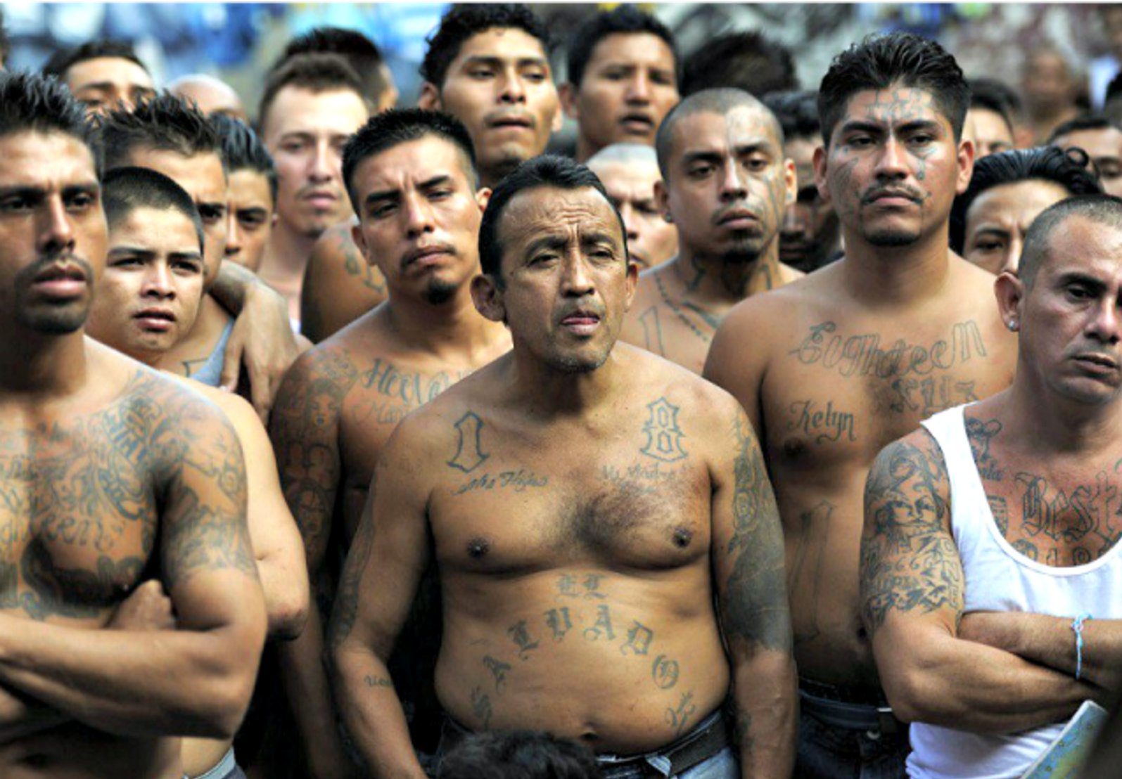Click to enlarge ms13