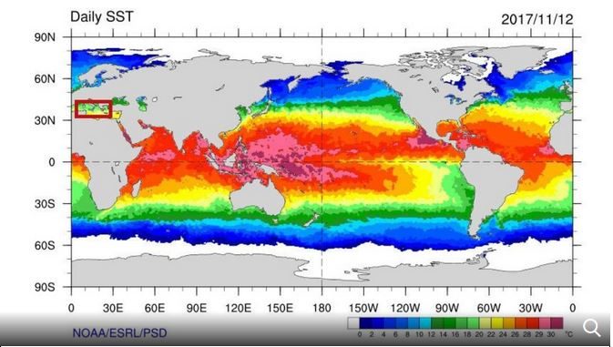 Med sea temps
