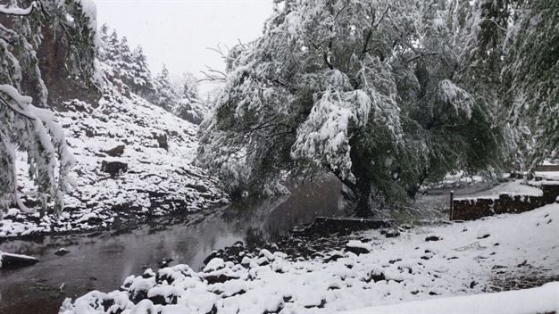 While November is known to be a summer season with frequent rains to cool things down, snow has been spotted in Barkly East, Elliot, Swartberg KZN, Sani Pass, Sani Top, Lesotho, .