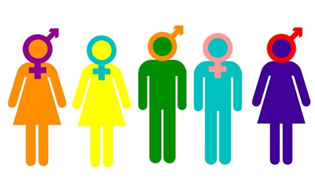 gender guide