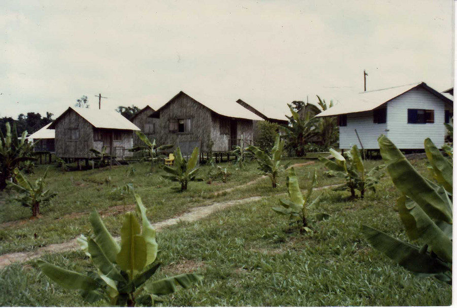 Click to enlarge People's Temple housing in Jonestown, Guyana.