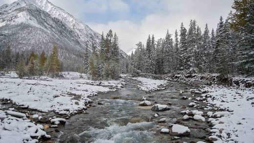 Click to enlarge Siberia