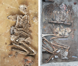 Click to enlarge Corded Ware Yamnaya culture Bronze Age grave burial