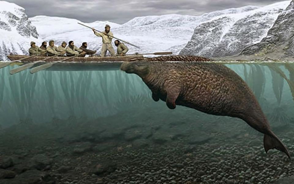 Click to enlarge ancient sea cow