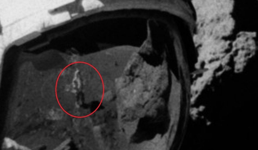 moon landing