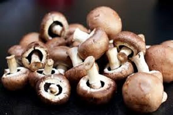 Mushrooms