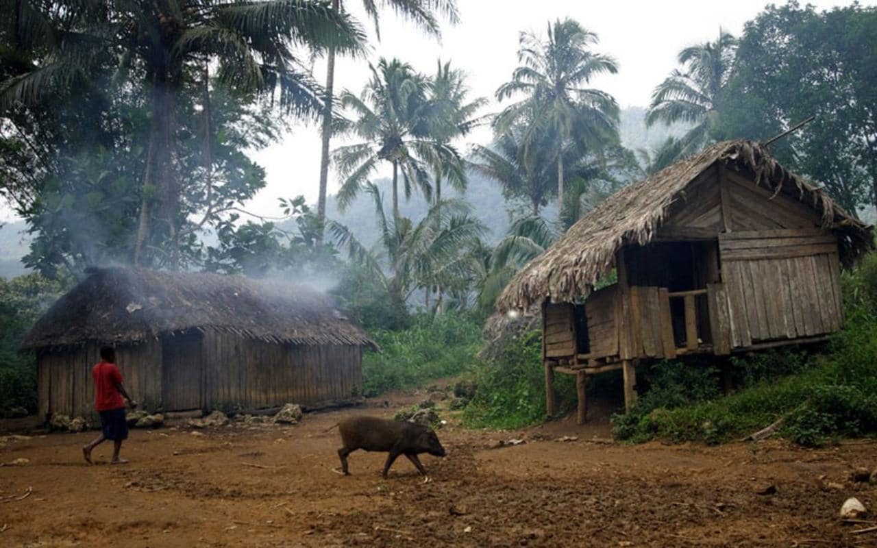 Papa new Guinea