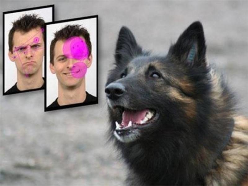 Click to enlarge human smile dogs oxytocin