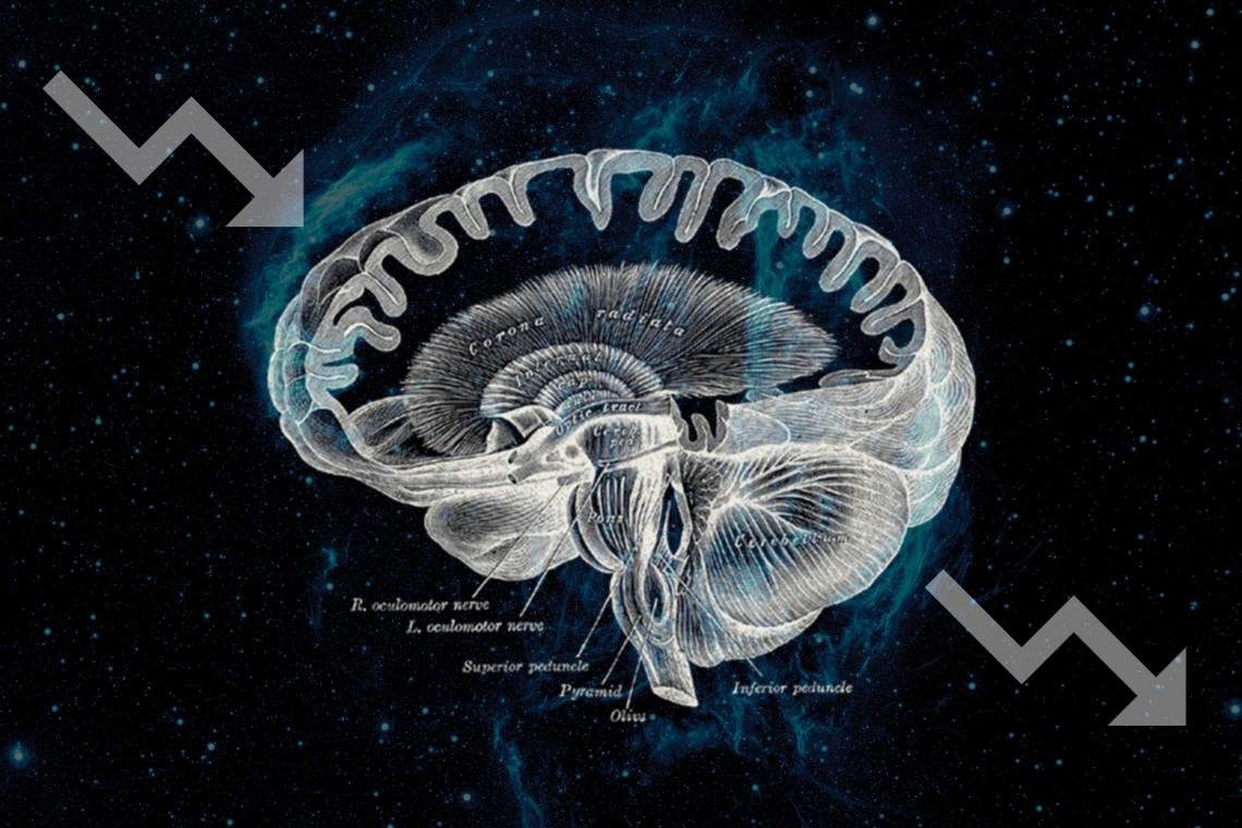 Click to enlarge brain