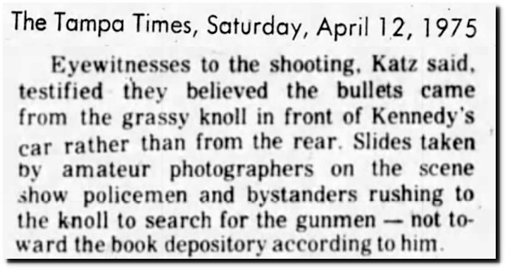 Tampa Times News
