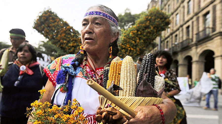 Mexico GMO Soy