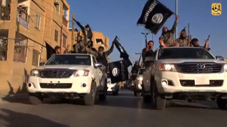 Islamic State (IS) fighters
