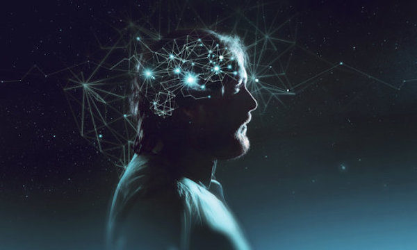 brain of more intelligent people