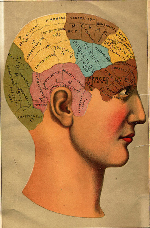brain