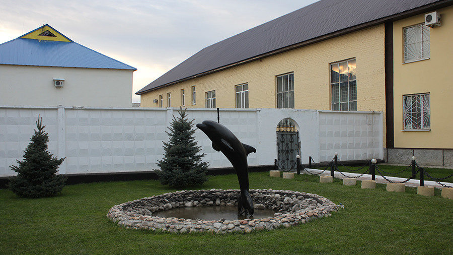 Black Dolphin statue