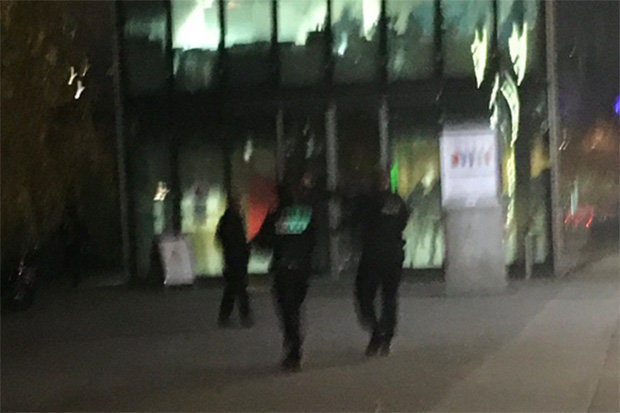 paris tiger escape