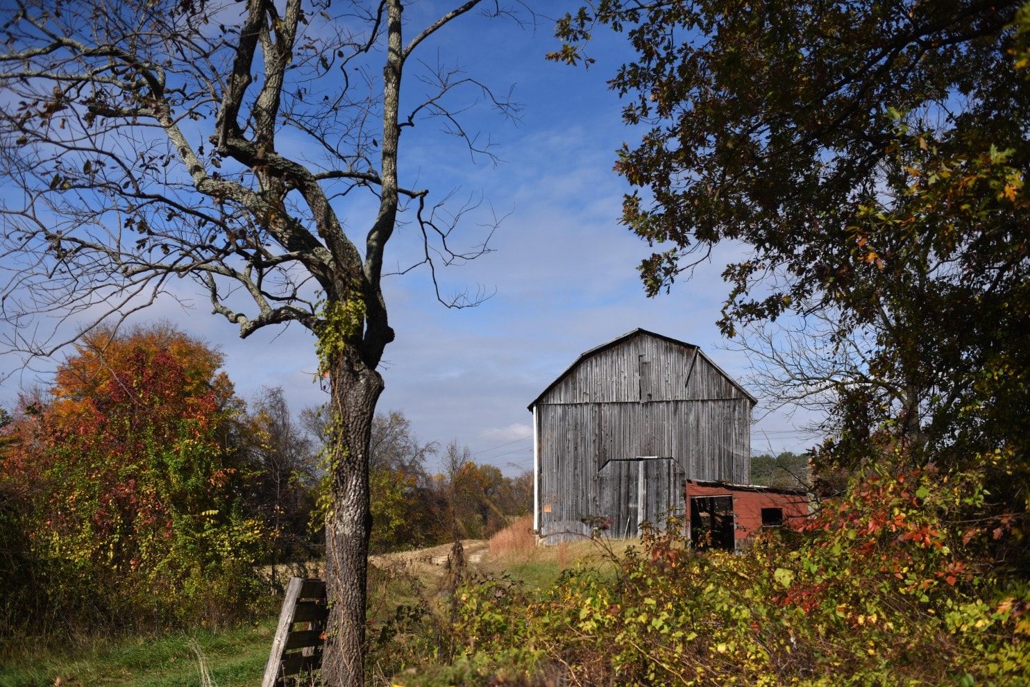 Click to enlarge young farmers 4