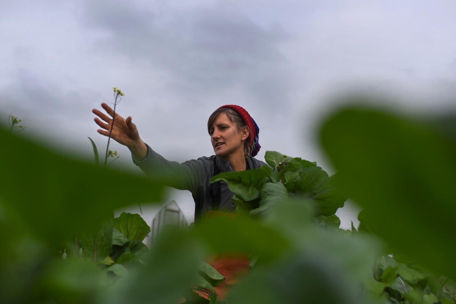 Click to enlarge young farmers 2