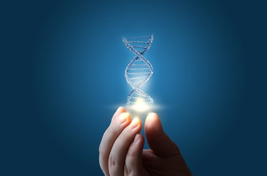 Click to enlarge Genetics