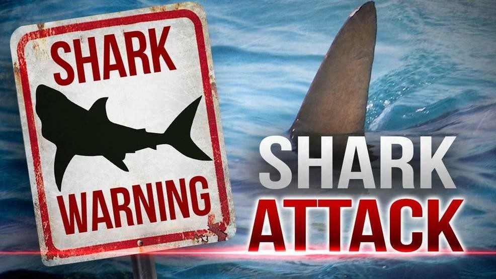Click to enlarge shark attack