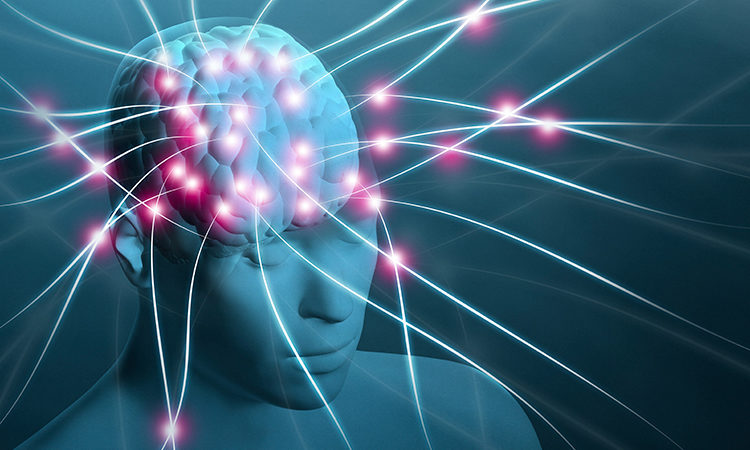 brain CBD