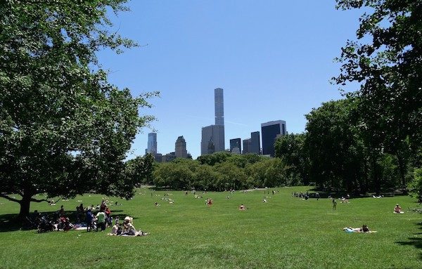 city dwellers