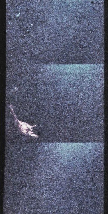 Nessie