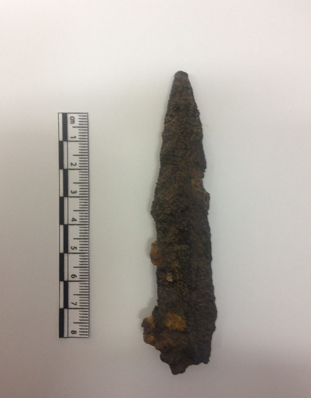 Click to enlarge Roman Pilum