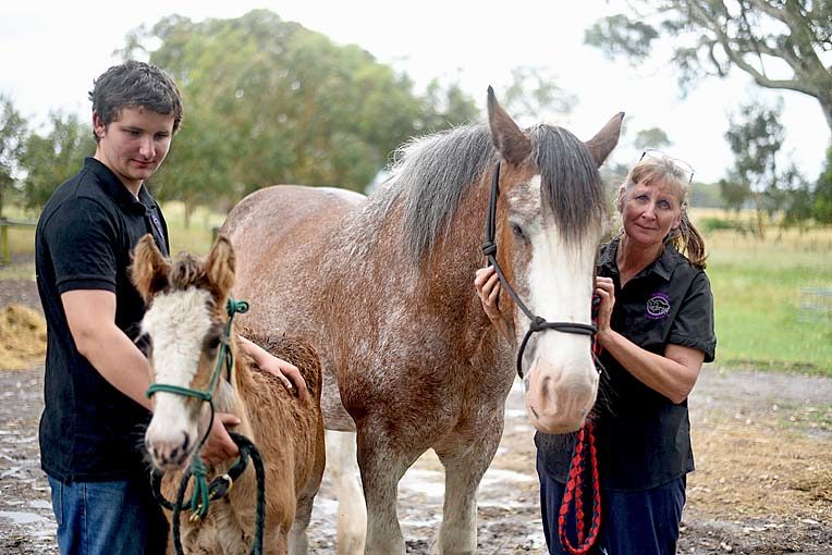 DEVASTATING LOSS: Ryan Ferguson and Lynn Brierley mourn the loss of three horses