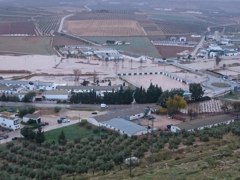 floods