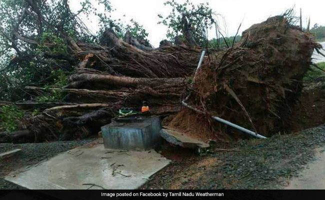 After damage in Tamil Nadu, Kerala, cyclone Ockhi intensified to a 
