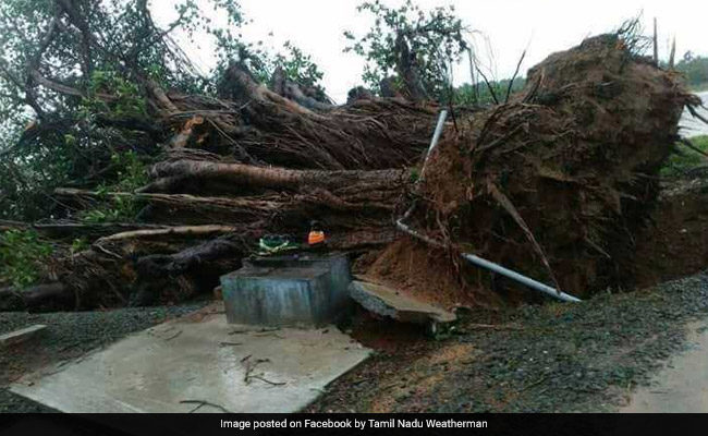 Click to enlarge After damage in Tamil Nadu, Kerala, cyclone Ockhi intensified to a