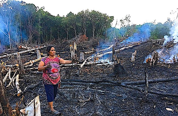 Click to enlarge woman burned forest