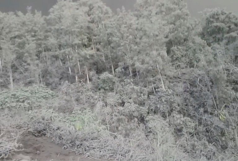 Click to enlarge Mount Agung Bali ash