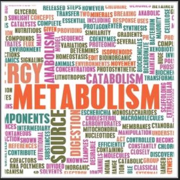 Click to enlarge metabolism
