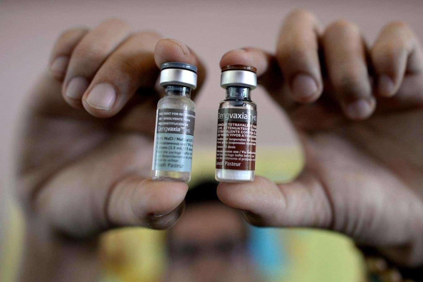 dengue vaccines