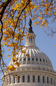 Click to enlarge U.S. Capitol