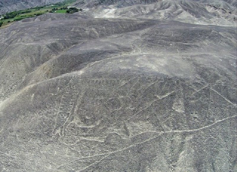 Click to enlarge Orca geoglyph