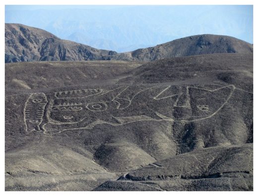 Click to enlarge Orca geoglyph