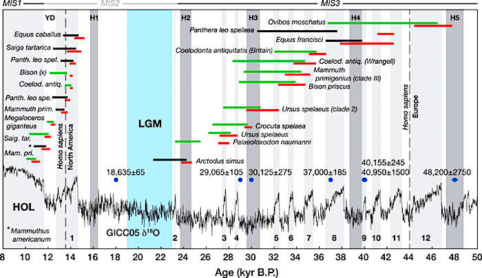 Click to enlarge Figure 9