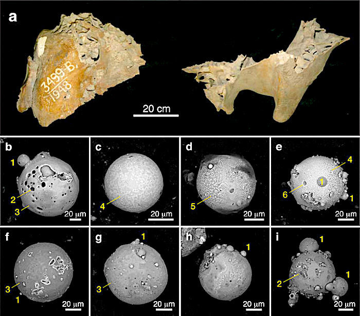 Click to enlarge Figure 5