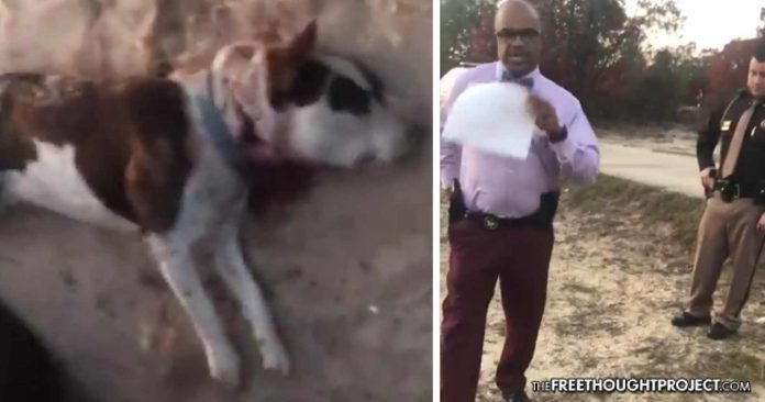 psycho cop shoots dog