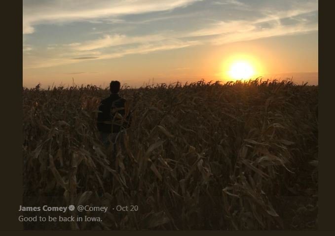 Click to enlarge cornfield_comey