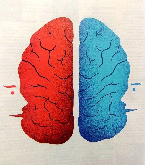 Two Minds in One Brain - The Curious Case of Corpus Callosotomy