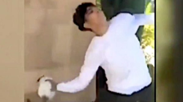 kitten thrower