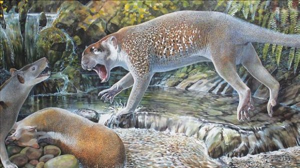 Click to enlarge Marsupial lion