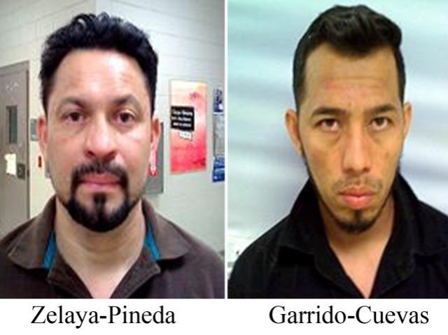 deported sex offenders