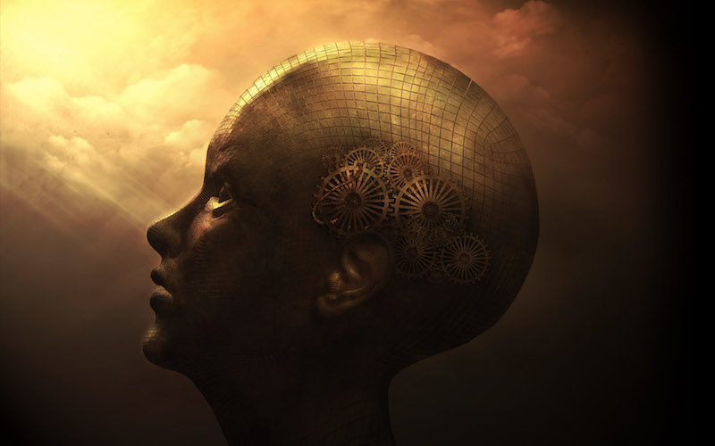 Click to enlarge cognition