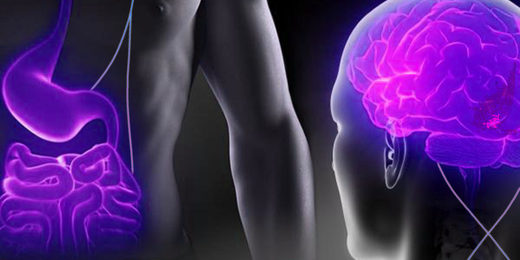 Click to enlarge gut brain connection